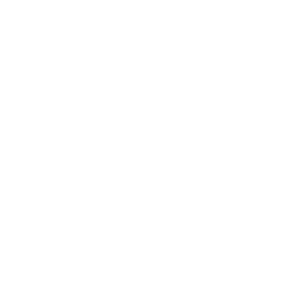 Logo Pajeú — Resistência em Movimento